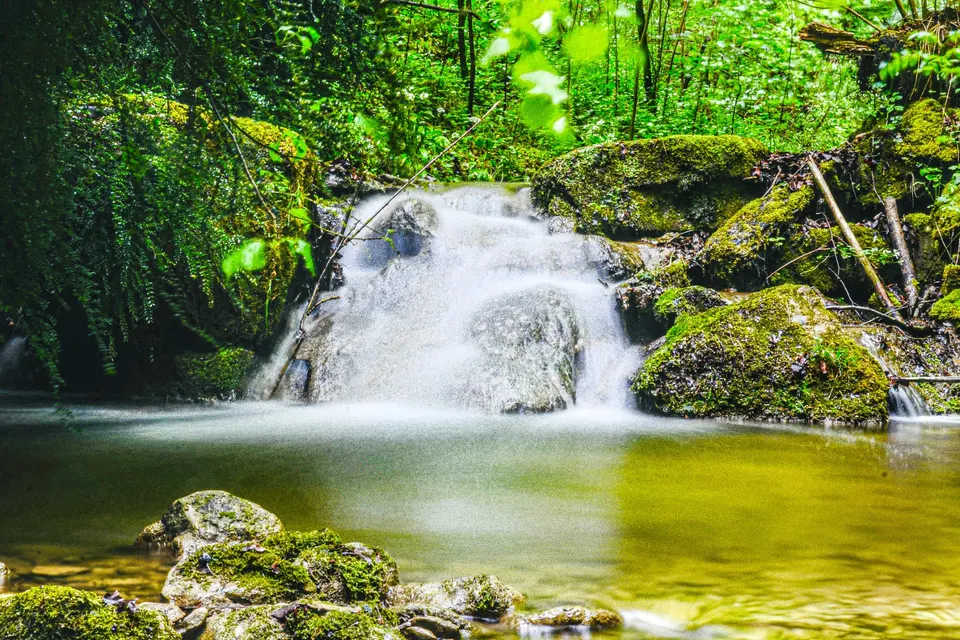 Kleiner Wasserfall im moosbewachsenen Wald