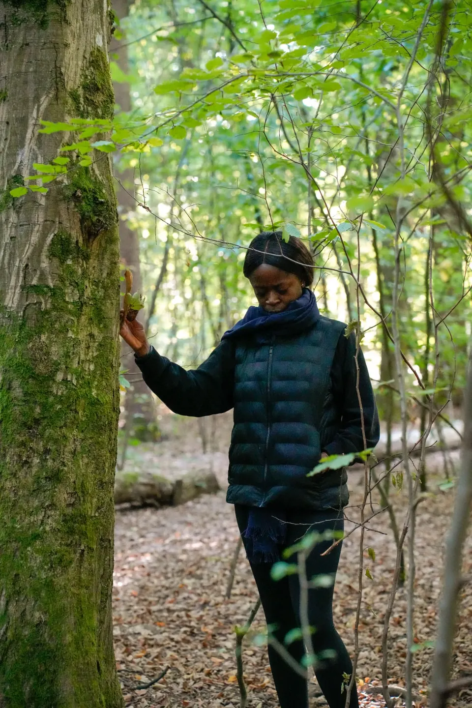Teilnehmerin berührt achtsam einen bemoosten Baumstamm im Wald bei Zürich