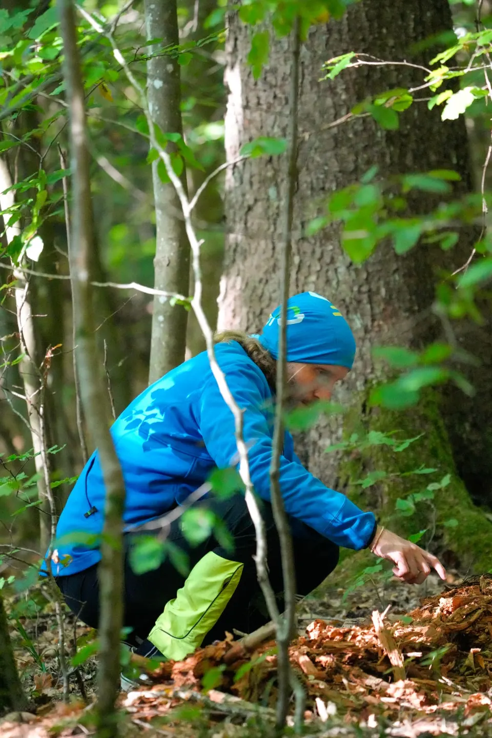 Teilnehmer entdeckt Details im Totholz des Käferberg-Waldes