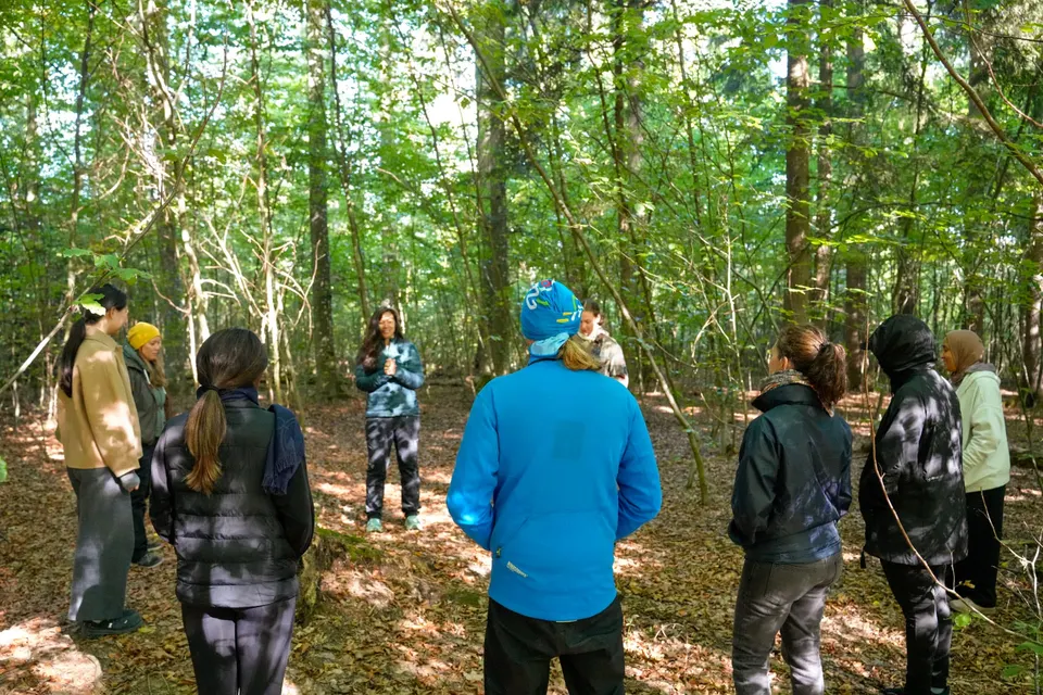 Die Soundwalk-Gruppe versammelt sich im Kreis im lichten Wald