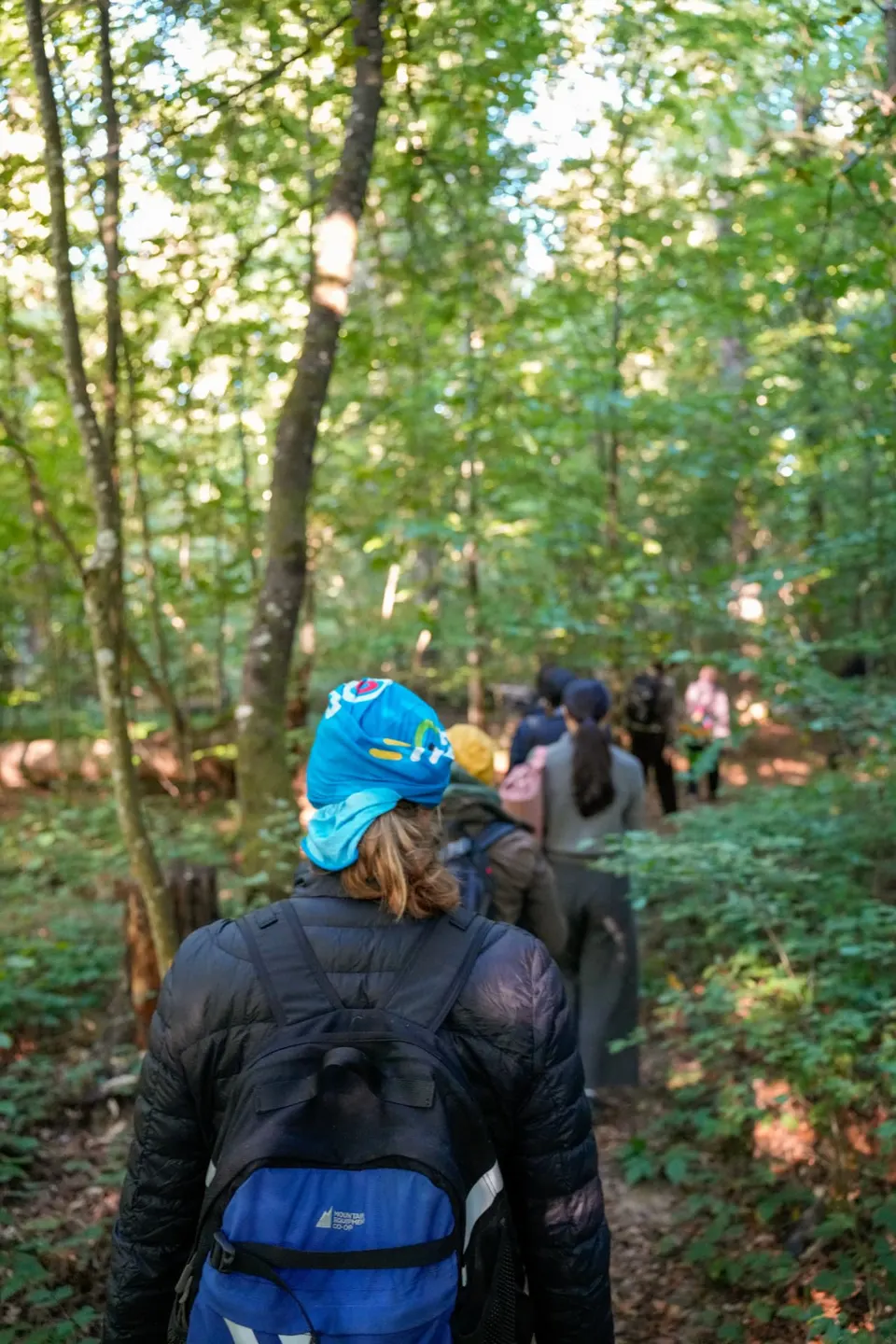 Teilnehmende gehen achtsam hintereinander über den Waldpfad beim Soundwalk