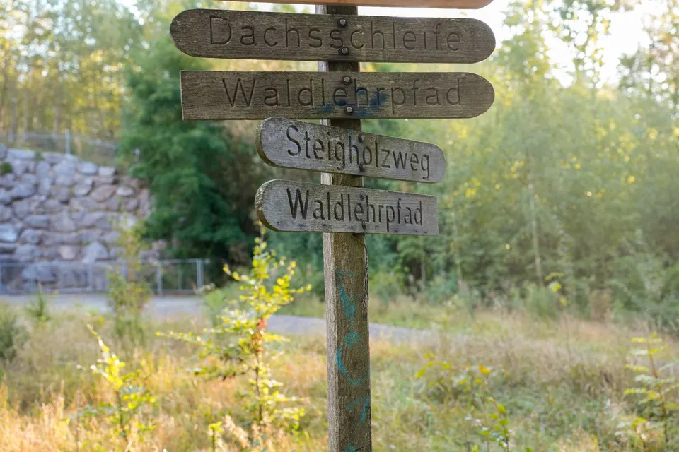 Wegweiser Waldlehrpfad und Dachsschleife im Käferberg-Wald
